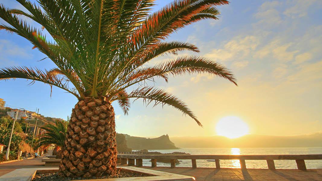 Havnepromenade, solnedgang, Madeira